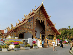 Chiang Mai - Golden Monks