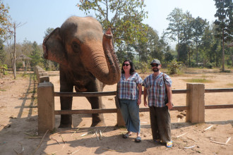 Maerim Elephant Sanctuary - Sarah can die happy now!